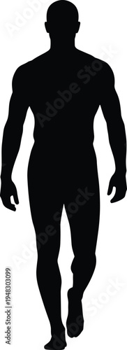 Human silhouette walking forward, muscular contours visible, posture and movement illustration for anatomy, fitness, gait analysis, healthcare, exercise concept