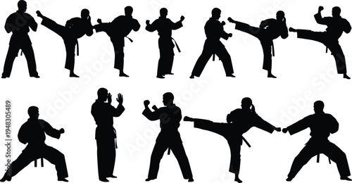 Silhouette illustrations of martial artists practicing diverse stances, punches, and kicks in traditional uniforms, representing discipline, training, technique, and physical strength in martial arts