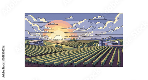 Scenic vineyard with modern buildings under a colorful sunset sky