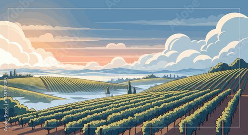 Rolling hills and vast vineyards under a dramatic, cloudy sunset sky