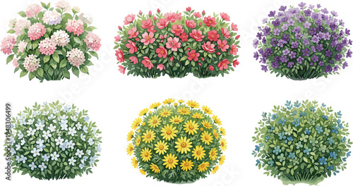 Flower bush set garden blooming plants colorful floral shrubs botanical nature vector illustration collection spring decorative greenery design