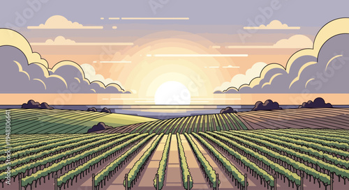 Sunset over vineyard and ocean, soft clouds drift in pastel sky