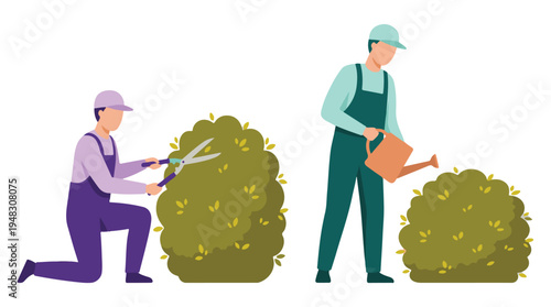 Gardeners trimming and watering bushes. Plant care and landscaping concept.