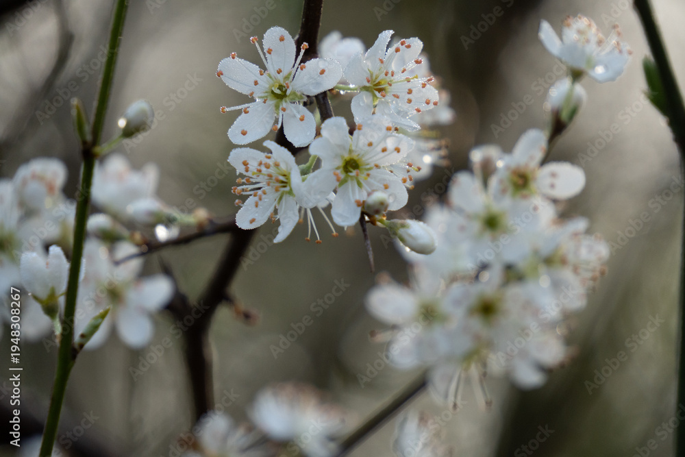 Obraz premium Region Teutoburger Wald
