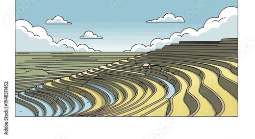 Terraced fields with water channels, a small building, and a blue sky with clouds