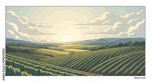Serene rolling vineyards bask in the gentle glow of a cloudy sunrise, stretching towards distant mountains