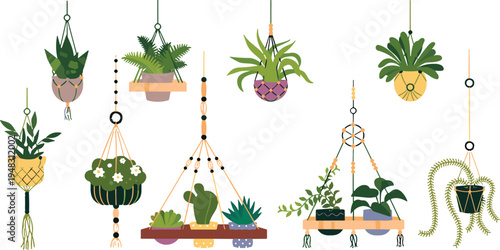 Collection of hanging houseplants in macrame planters set, boho style indoor garden with succulents and ferns for home interior decoration, isolated vector.