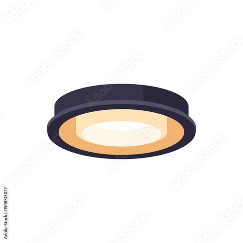 black ceiling lamp, home lighting, colorful vector flat style illustration