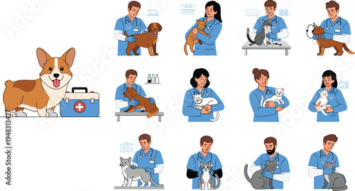 Flat vector illustration of professional veterinarians examining dogs and cats in clinic including cute corgi with medical kit isolated on white background