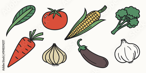 a variety of colorful vegetables on display Vector