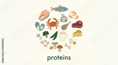 High Protein Food Sources Illustration for Healthy Diet Concept