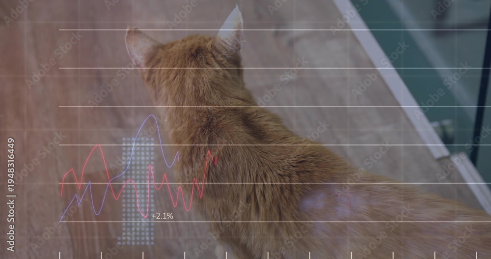 Fototapeta premium Peering ginger cat facing green door on wood floor, with bluish fur reflection, grid waveforms