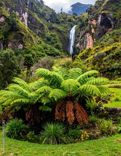 Lush ferns lead to tall, thin waterfall cascading down a mossy, mountainous valley