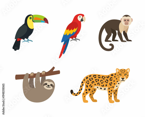 Colorful illustrations of tropical rainforest animals.