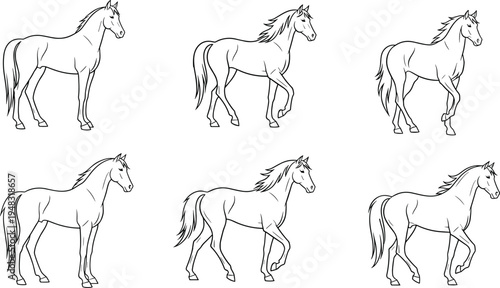 Line Art Set of Horses in Different Walking Poses for Animal and Equestrian Themes