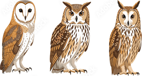 Realistic Owl Illustration Set with Detailed Feathers Nocturnal Bird Collection for Wildlife Designs, Nature Education, Forest Themes, Mascots, and Decorative Vector Projects