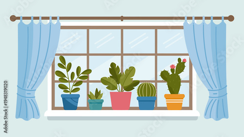 Colorful potted plants on a window sill with blue curtains