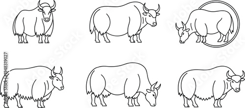 Line Art Set of Yaks in Different Poses for Animal and Nature Themes, Featuring Simple Black and White Illustrations