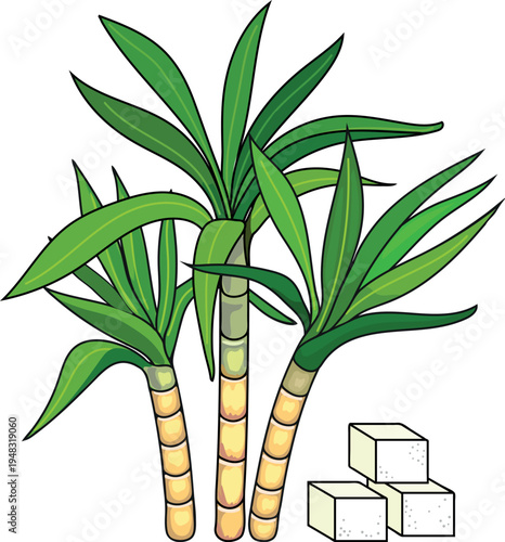 Sugarcane plant with sugar cubes, cute cartoon illustration of sugar cane stalks for kids, vector isolated on white