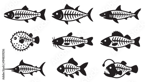 Diverse Fish Skeleton Silhouette Icons with Different Species
