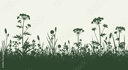 Green plant and grass silhouettes, wild meadow botanical border design