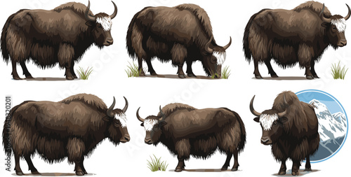 Vector Set of Various Yaks in Different Poses, Featuring Mountain Background and Lush Grass for Wildlife and Nature Themes