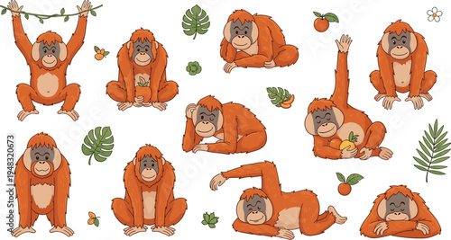 Orangutan Vector Illustration Set Featuring Cute Tropical Jungle Primates in Sitting, Climbing, and Relaxing Poses for Wildlife Nature Graphics and Kids Designs.