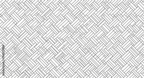Monochrome Woven Pattern with Intricate Interlacing Strands.