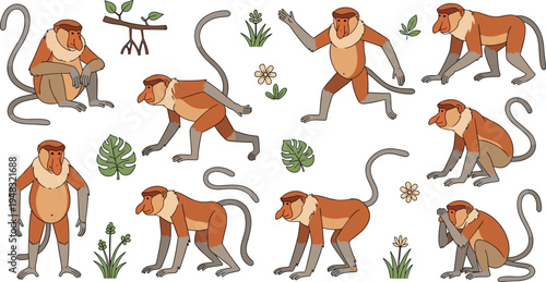 Proboscis Monkey Vector Illustration Set Featuring Long Nosed Tropical Primates in Different Walking, Sitting, and Climbing Poses for Wildlife Nature Graphics.