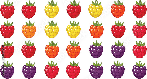 Colorful Raspberry and Blackberry Berry Collection with Red Yellow Orange and Purple Berries Fresh Organic Fruit Vector Illustration Set