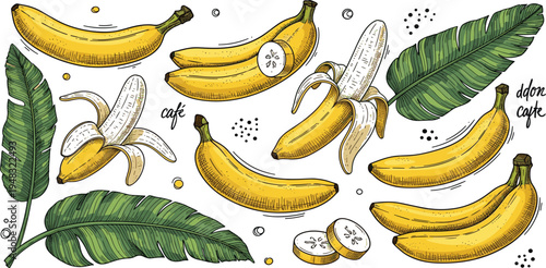 Seamless Banana Pattern with Whole and Peeled Bananas, Tropical Leaves Hand Drawn Fruit Background for Textile, Packaging, Wallpaper Vector Illustration