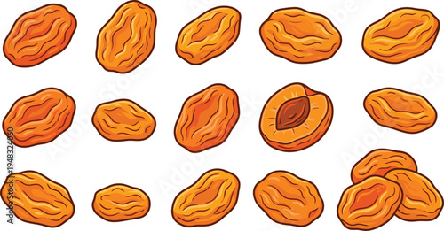 Dried Apricot Fruit Collection with Whole and Cut Pieces Healthy Organic Snack Natural Sweet Food Vector Illustration Set