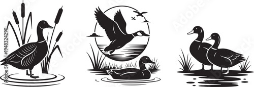 Flying, Swimming, Interacting