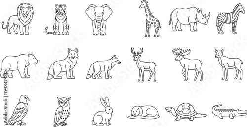 Photography Wild Animals Outline Vector Illustration Set Featuring Lion, Tiger, Elephant, Giraffe, Rhino, Zebra, Bear, Fox, Deer, Rabbit, Owl, Turtle, and Crocodile