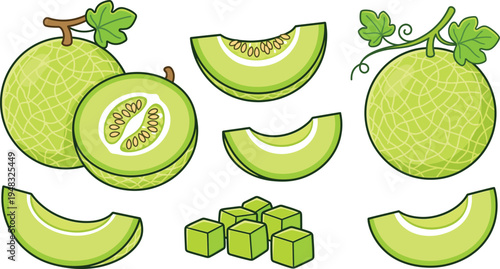 Fresh green melon fruit vector illustration set with whole cantaloupe slices cubes and seeds, juicy summer fruit collection isolated on light background