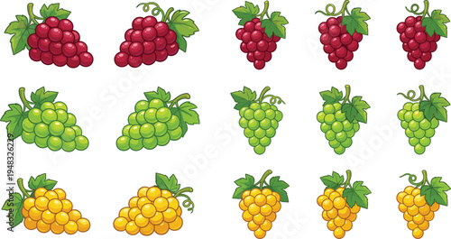 Grape fruit vector icon set with red green and yellow grape bunches, fresh vineyard fruit illustration collection isolated on light background