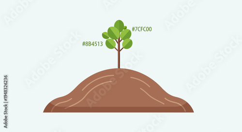 A small Arbor grows on a mound on a sunny Day outdoors.