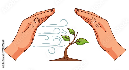 Hands protect young Arbor on a sunny Day with swirling wind