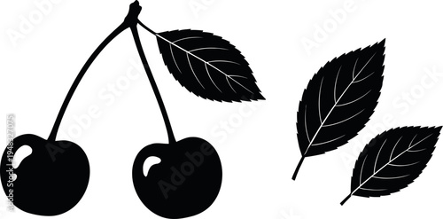 Black silhouette of cherries and leaves on white background