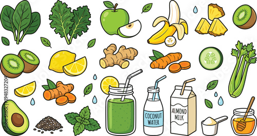 Healthy Detox Smoothie Ingredients Collection with Fruits Vegetables Coconut Water Almond Milk and Superfoods Nutrition Vector Illustration Set
