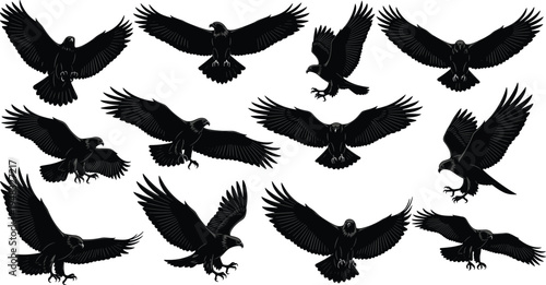 Majestic eagle silhouette set with soaring bald eagles in flight hunting and landing poses black vector illustration isolated on white