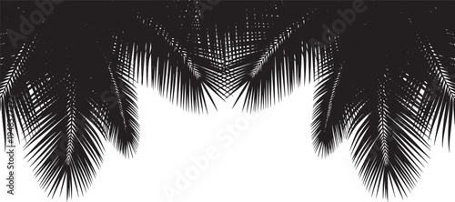 Tropical Silhouette against White Background