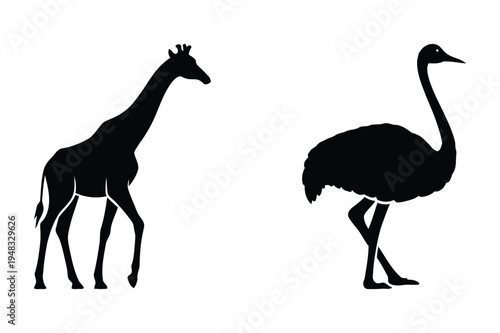 Giraffe and ostrich animal silhouettes