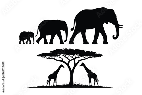 Photography African wildlife silhouettes: elephants and giraffes