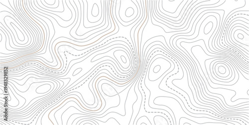 The stylized height of the topographic map in contour, lines. The concept.Background of the topographic map. Topographic lines, contour background. topo map texture.