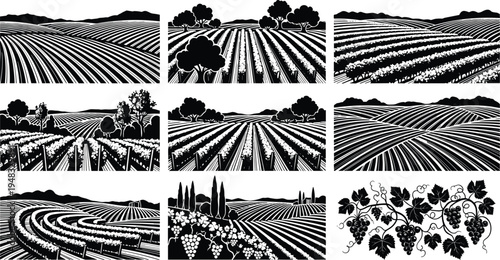 Vineyard landscape silhouettes set with grape farm fields and rural winery hills isolated on white background for agriculture vector design.