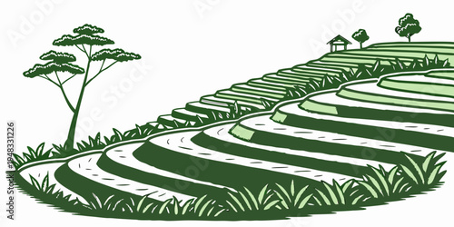 a green rice terrace with trees on a hillside Vector