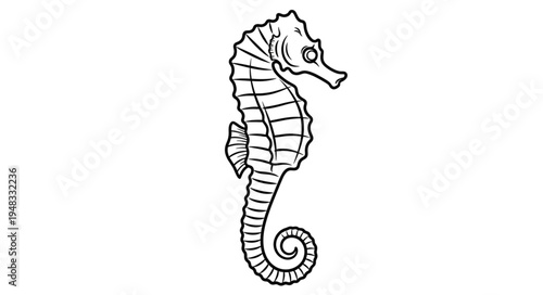 Detailed Line Art of a Graceful Seahorse Illustration.