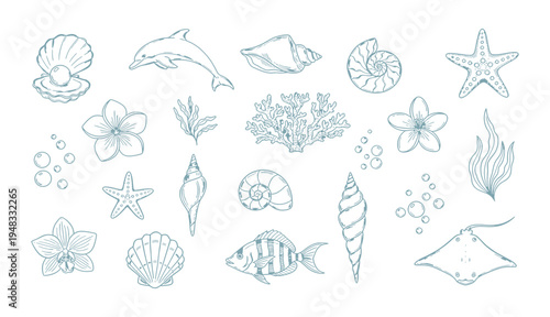 Hand drawn vector illustration. Summer ocean, beach theme marine elements isolated perfect for coastal vacation tropical design