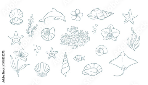 Hand drawn vector illustration. Summer ocean, beach theme marine elements isolated perfect for coastal vacation tropical design